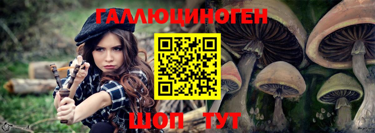 Галлюциногенные грибы Psilocybe  Вход с VPN  хочу   Черкесск 